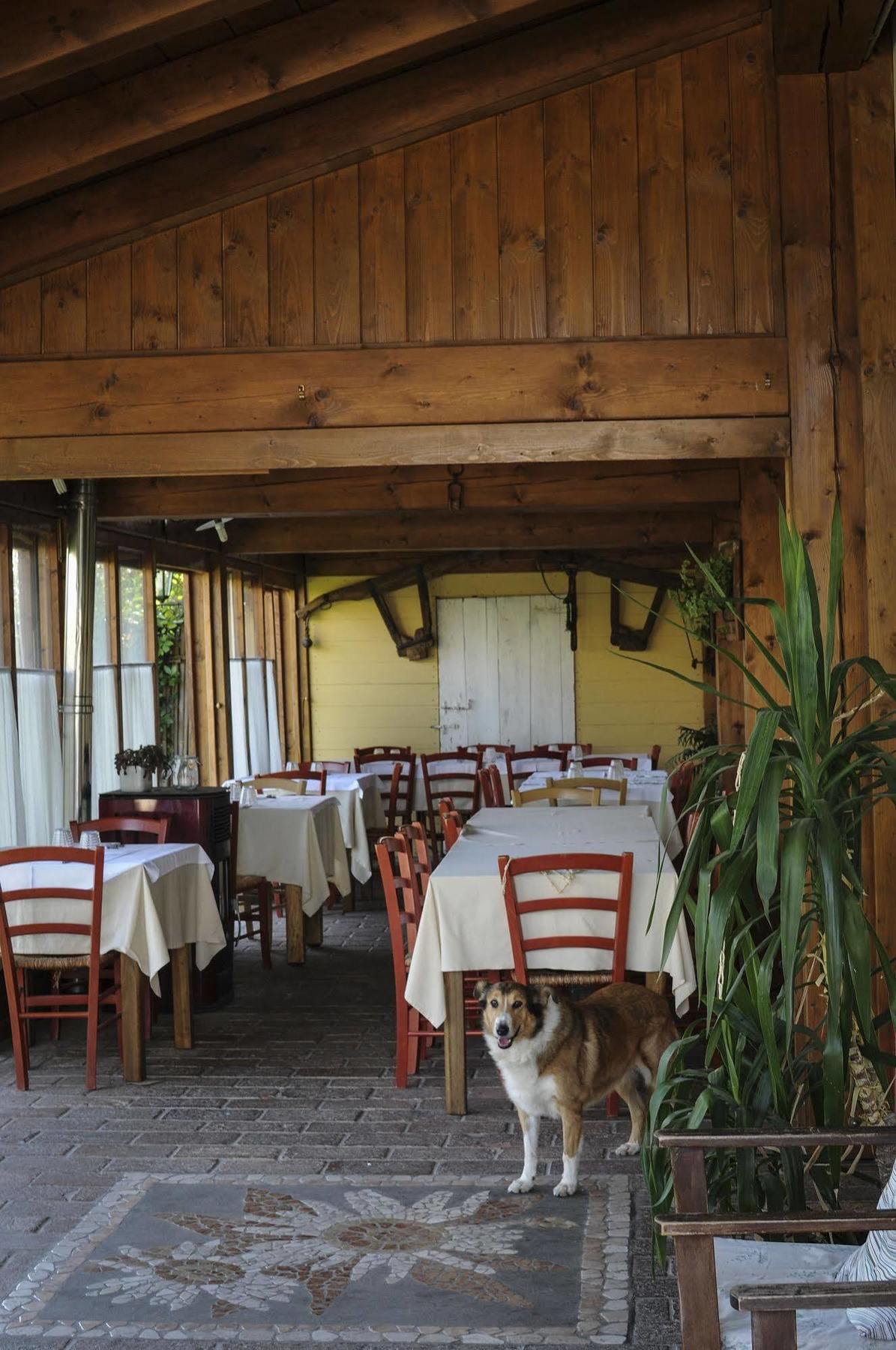 Locanda Merlaschio ファエンツァ エクステリア 写真